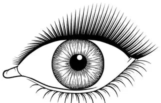 Round or prominent