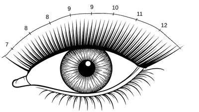 Fox Eye